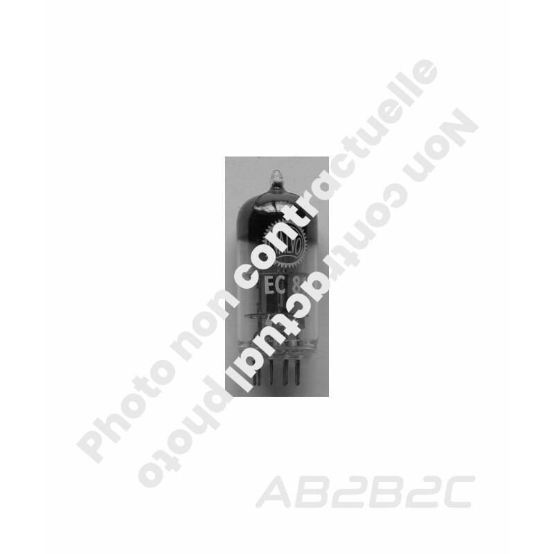 EC81 / 6R4