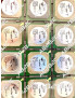S3-VIA-PN133T, CONTRÔLEUR VIDÉO BGA, Microprocesseurs et interfaces, , TWISTER