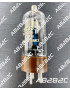 5933S / P17W CSF - CIEL ELECTRONIQUE STORE - Tubes électroniques vintage