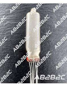 1AD4 RAYTHEON - CIEL ELECTRONIQUE STORE - Tubes électroniques vintage