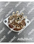SUPPORT TUBE 9 BROCHES NOVAL CHASSIS BAKELITE - CIEL ELECTRONIQUE STORE - Tubes élec...