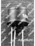 2N319 -  Vint'Elec - Tubes électroniques vintage