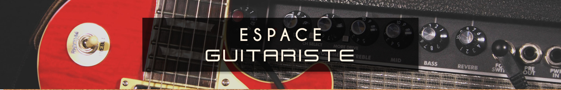 Guitariste banner